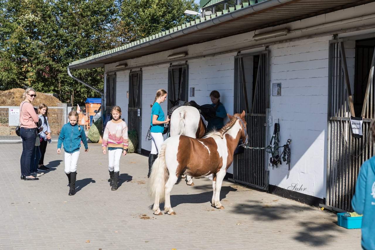 Bild 25 - Pony Akademie Turnier